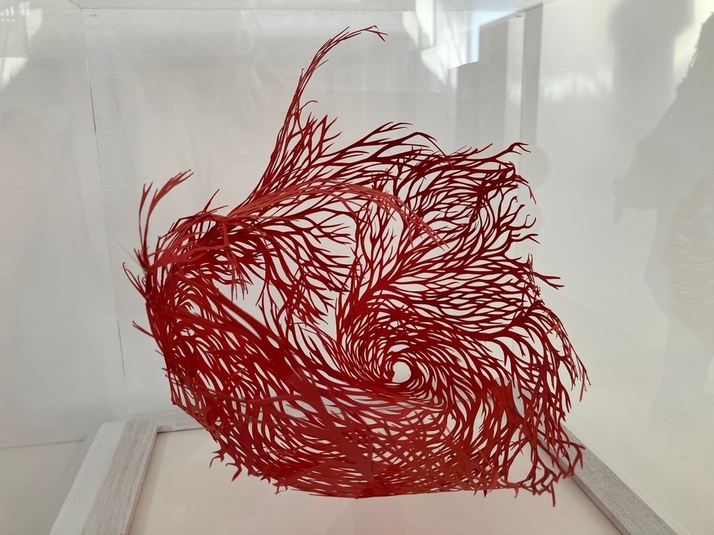 SPACE ANDY SINGLETON